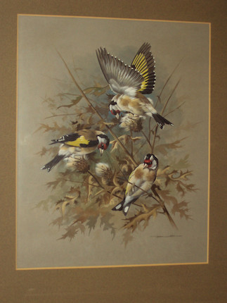 Bonhams : Basil Ede (British, born 1931) 'Greenfinch and Linnet