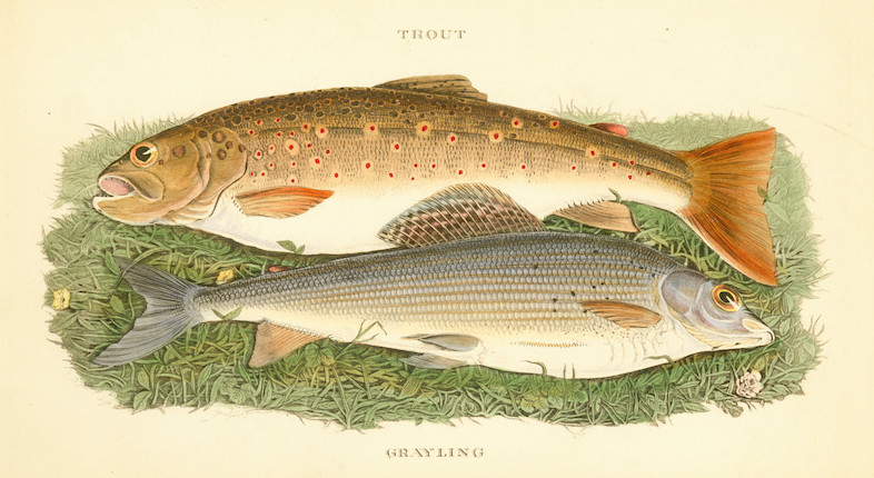 Bonhams : CHARLETON (T.W.) The Art of Fishing. A Poem, North Shields,  Printed for the Author, 1819--SMITH (ARTHUR) The Thames Angler,  1860--BAILEY (WILLIAM) The Angler's Instructor. 1866--PRITT (THOMAS EVAN)  North-Country Flies, 1886--RONALDS (