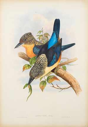 Bonhams : GOULD (JOHN) A collection of 31 hand-coloured lithographs from  John Gould's The Birds of Asia, A Monograph of the Ramphastidae, or Family  of Toucans, Birds of New Guinea, The Birds