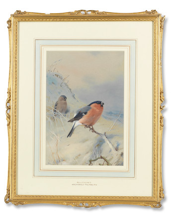 Bonhams : Archibald Thorburn (British, 1860-1935) Bullfinches