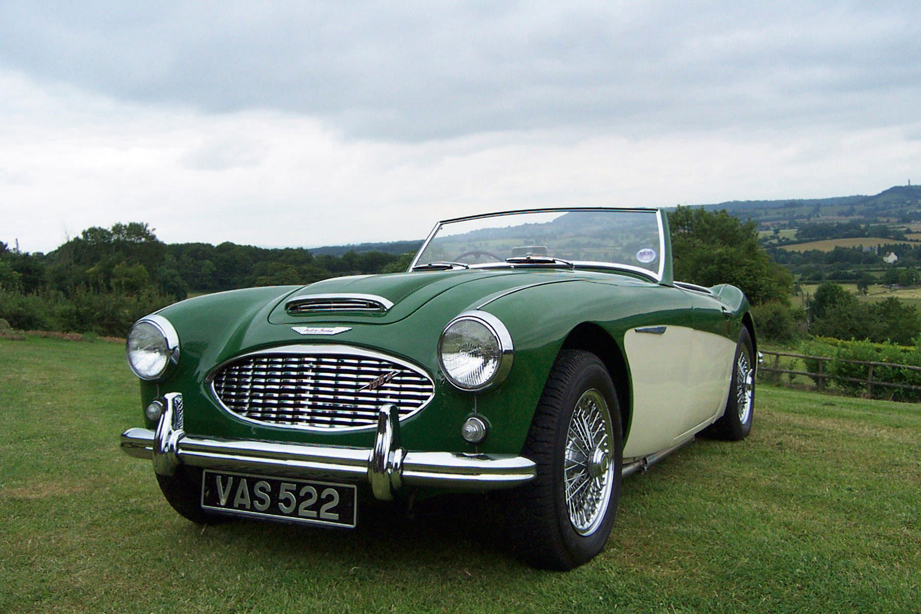 1956 Austin Healey 100 Roadster - a photo on