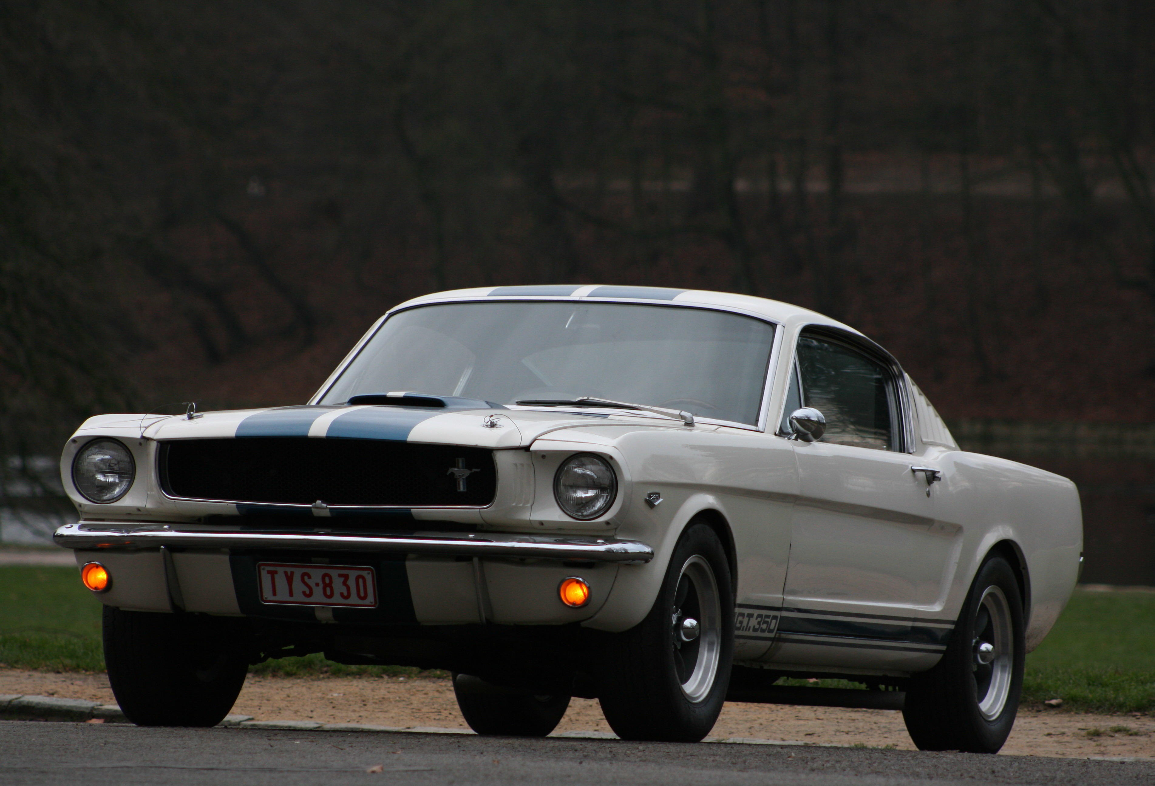 Clubs de propriétaires de Ford Mustang