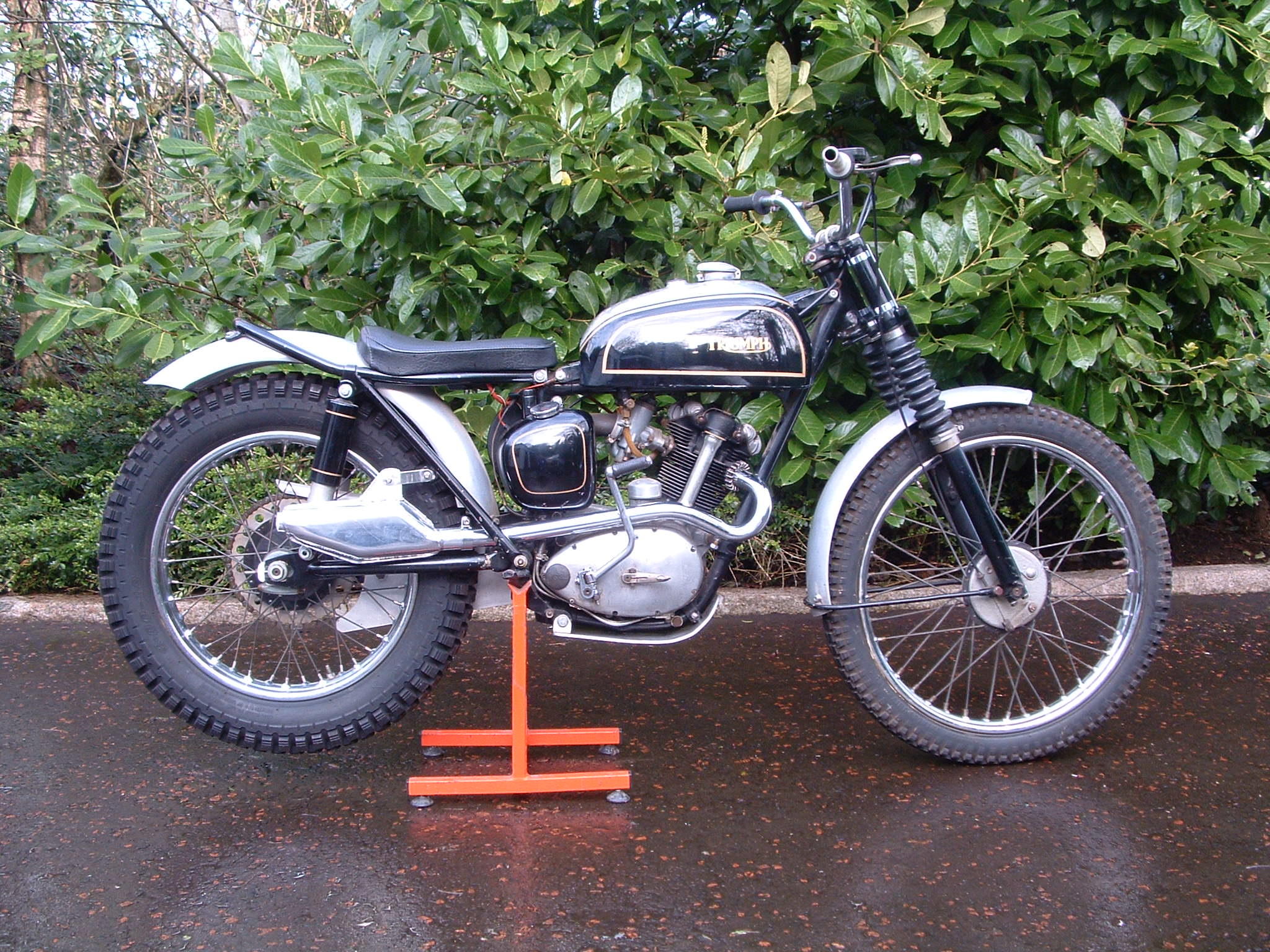 Triumph tiger deals cub scrambler