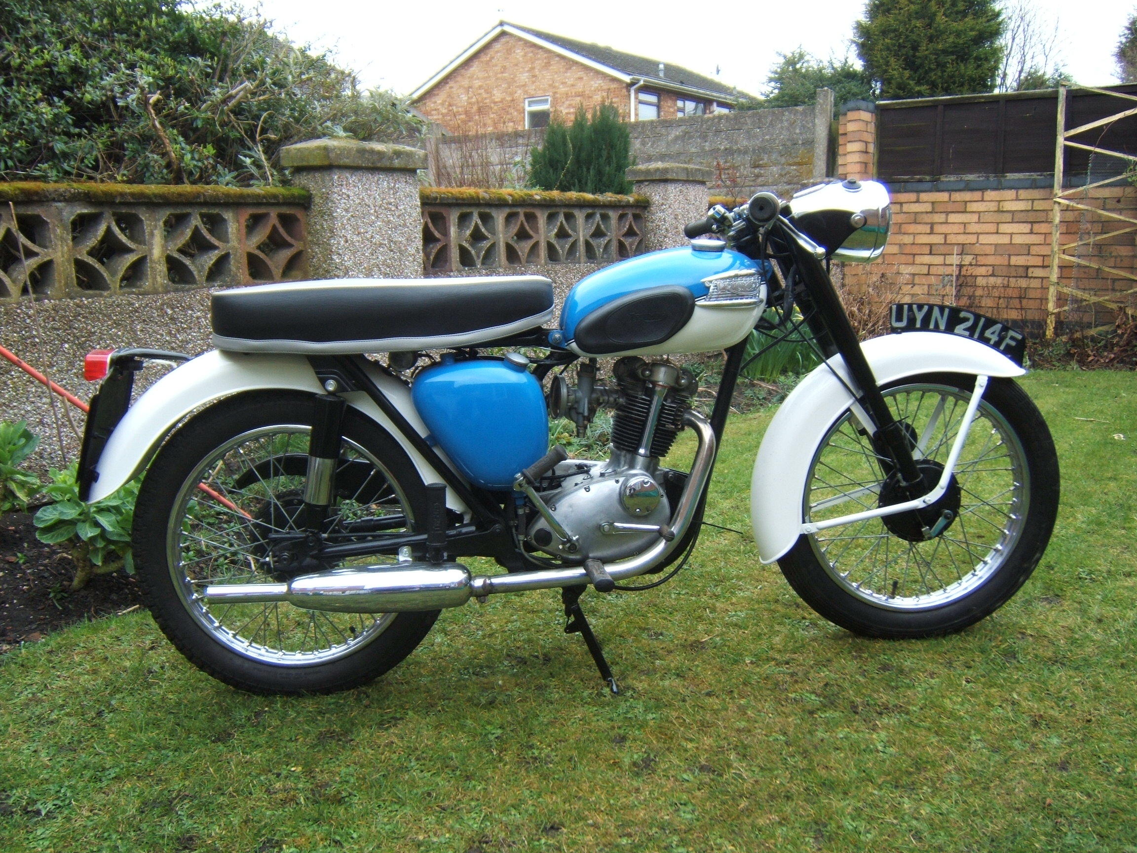 Triumph deals bantam cub