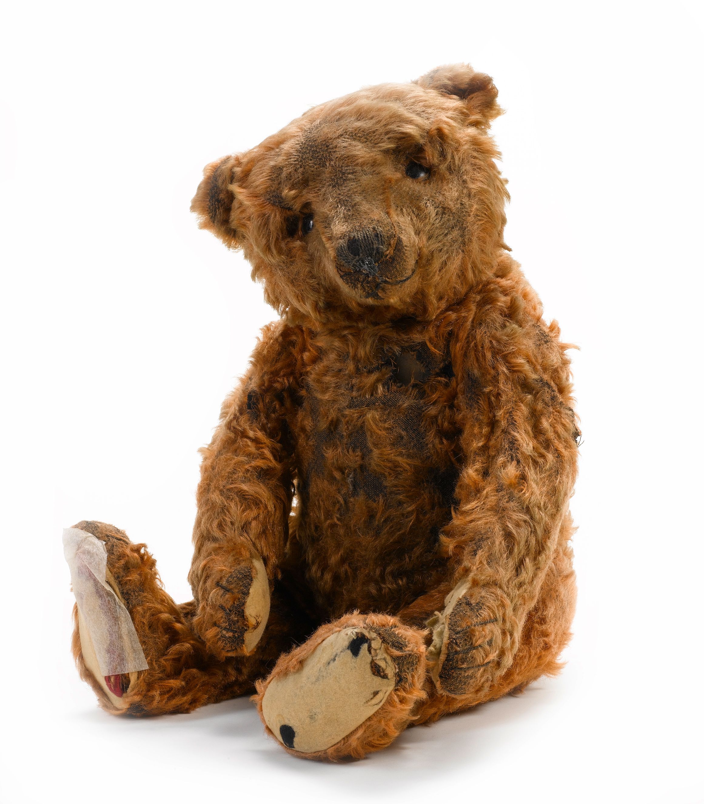 Bonhams : Rare cinnamon Steiff Teddy bear, German circa 1909