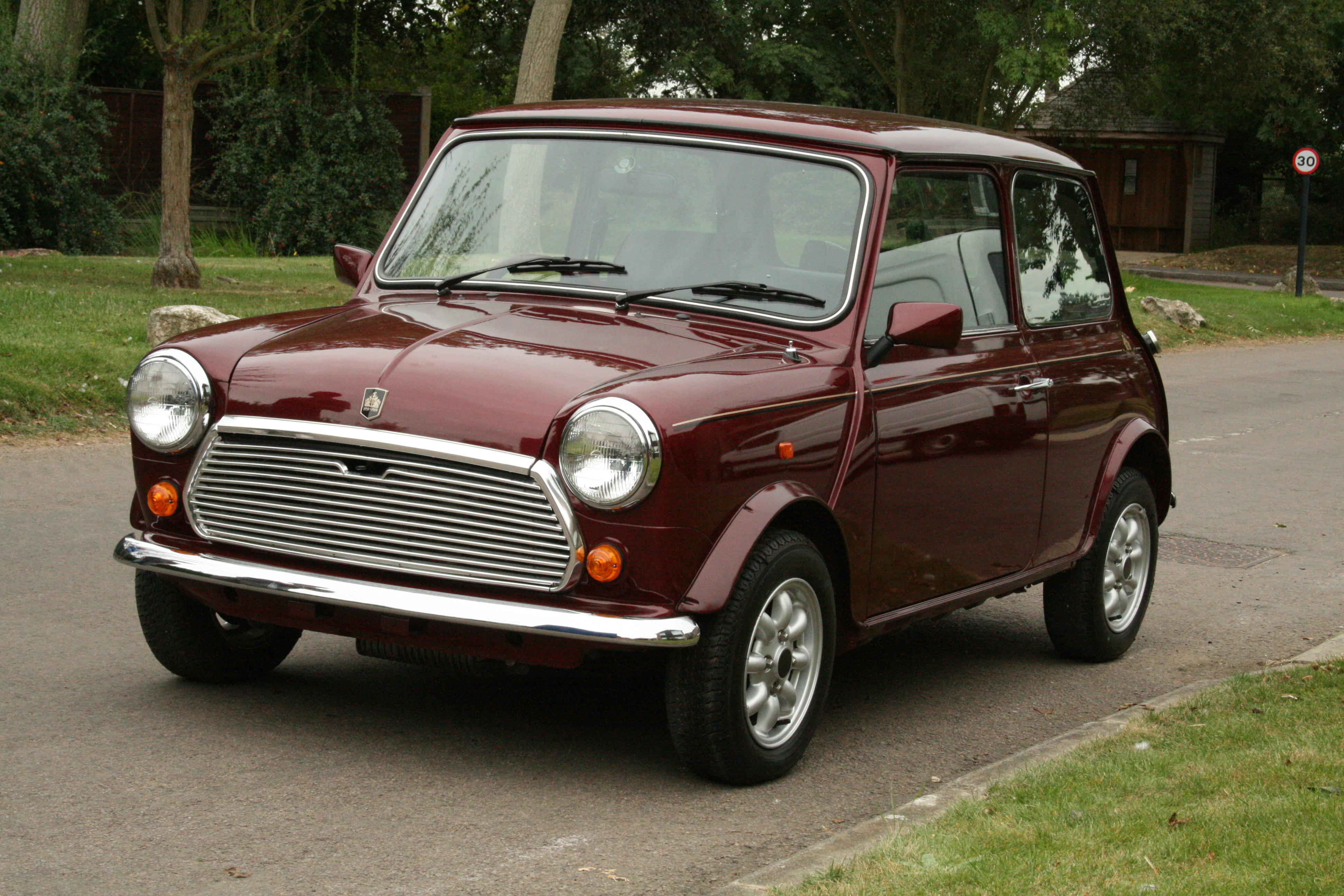 洋書 1959～1989 MINI THIRTY YEARS ON Mini: Thirty Years On ~ 1959-1989 ~ by Rob Golding ~ 1989 HB